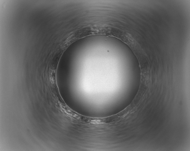 X0000081420770200701191555