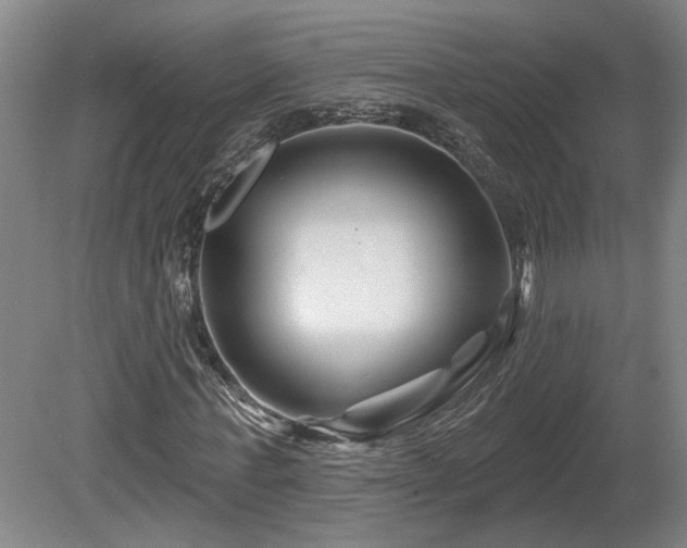 X0000081420771200701191555