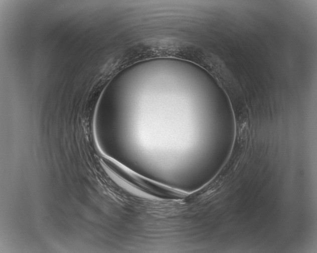 X0000081420772200701191555