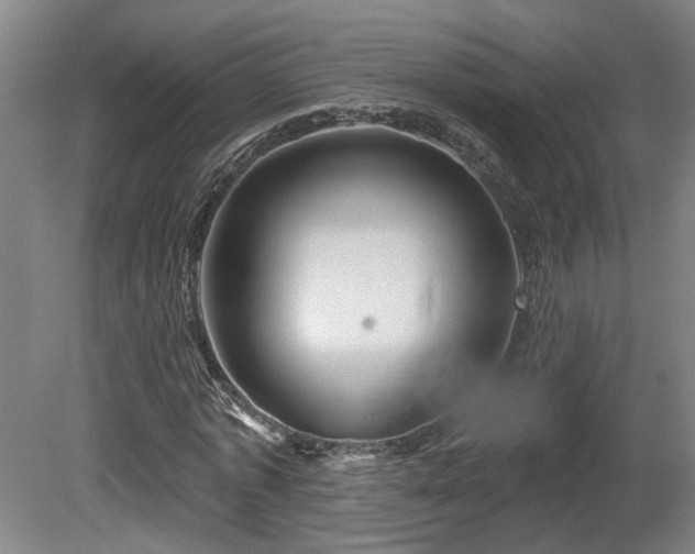 X0000081420773200701191555
