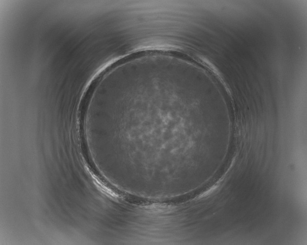 X0000081420779200701191555
