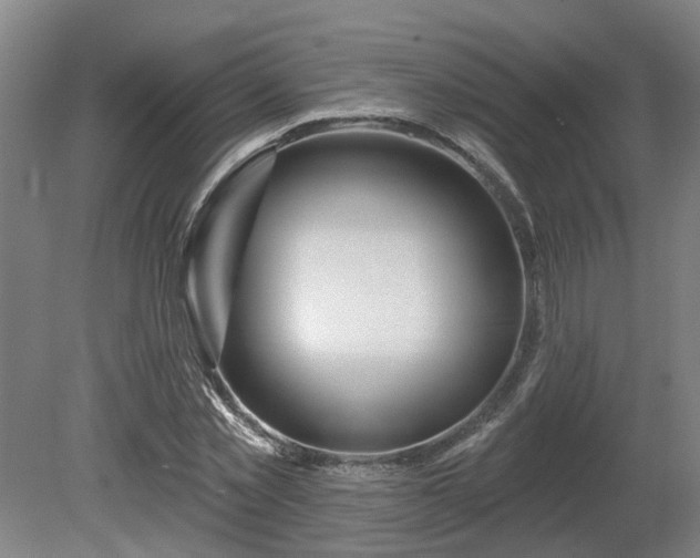X0000081420781200701191555