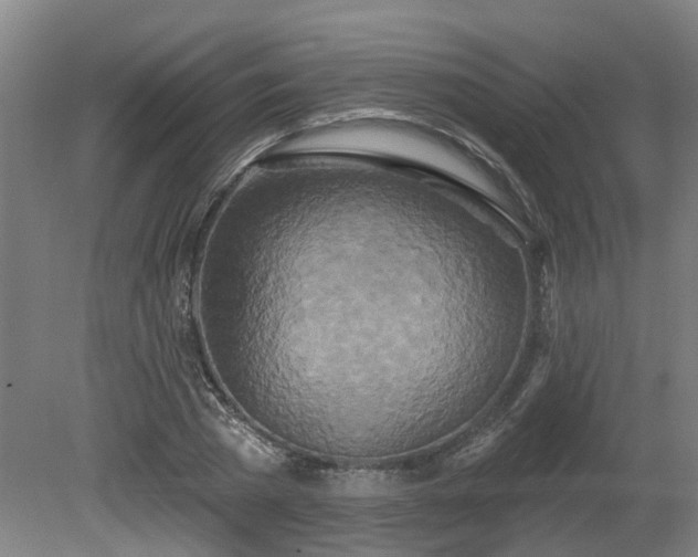 X0000081420785200701191555