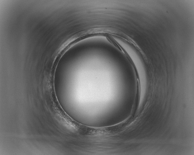 X0000081420786200701191555