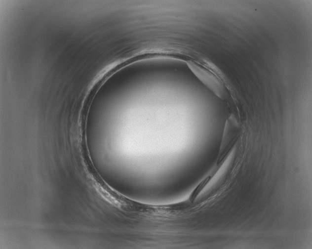 X0000081420787200701191555