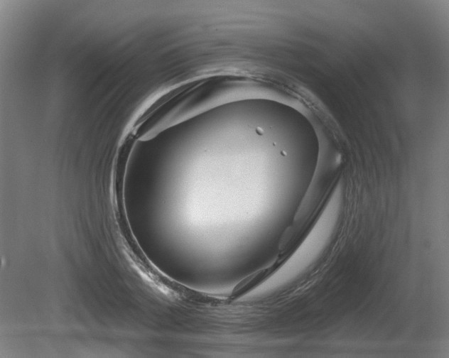X0000081420788200701191555
