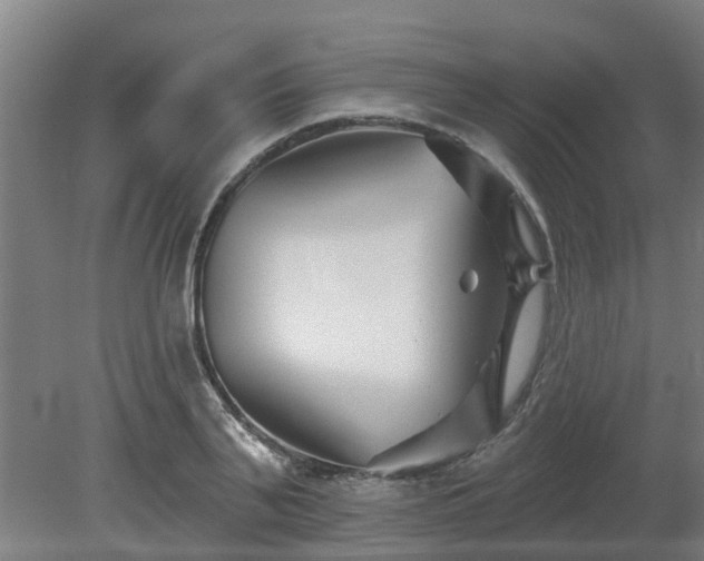 X0000081420791200701191554