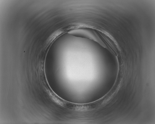 X0000081420793200701191554