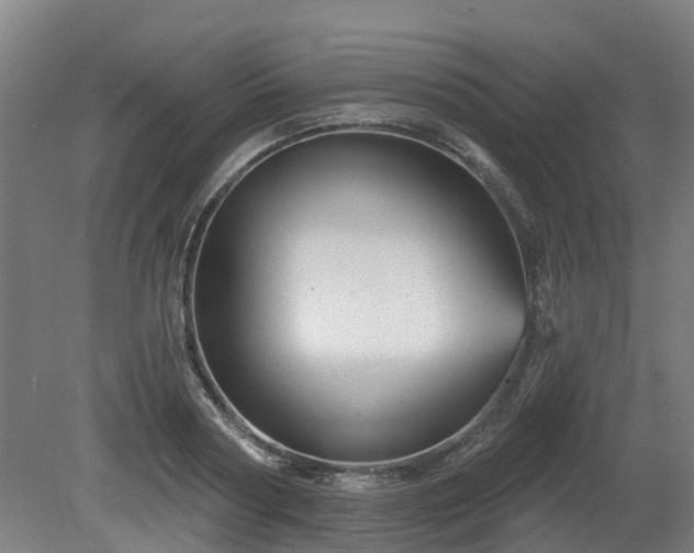 X0000081420794200701191554