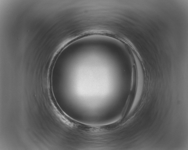X0000081420795200701191554