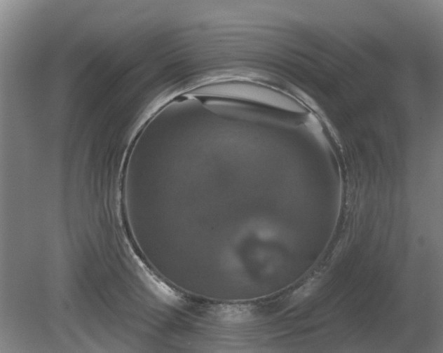 X0000081420802200701191554