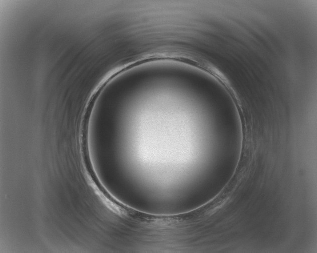 X0000081420803200701191554