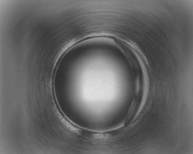 X0000081420805200701191554