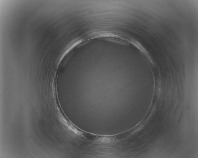 X0000081420806200701191554
