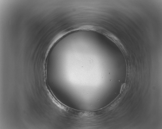 X0000081420808200701191554