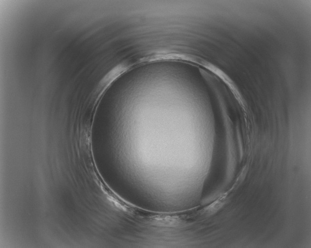 X0000081420809200701191554