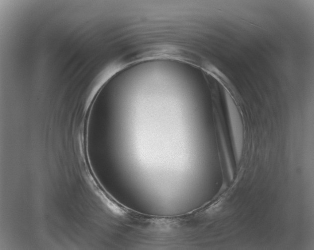 X0000081420812200701191554