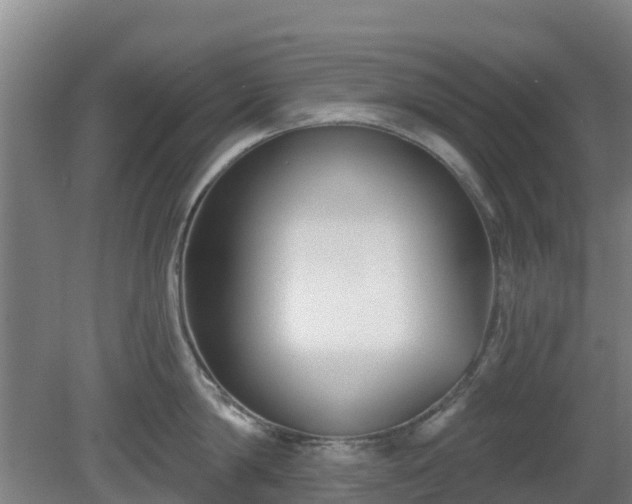 X0000081420814200701191554