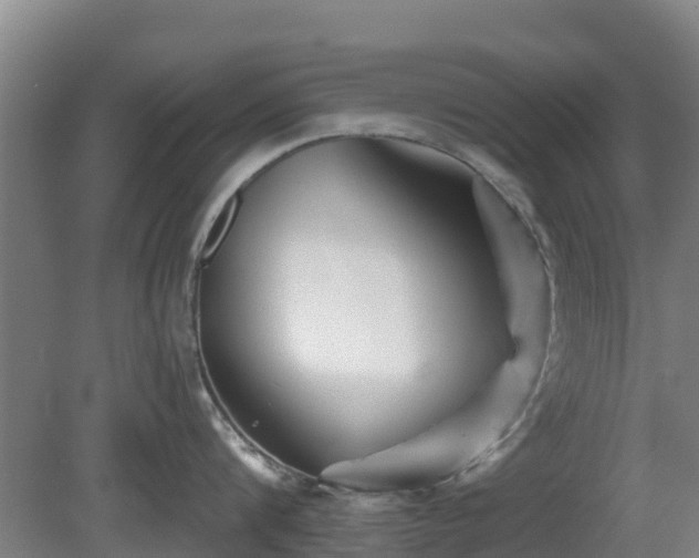 X0000081420816200701191554