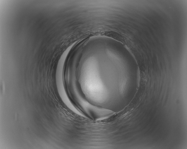 X0000081420818200701191553