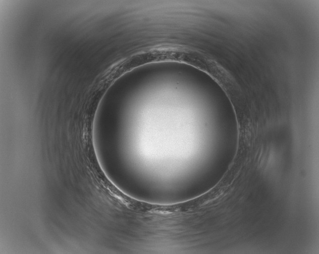 X0000081420821200701191553