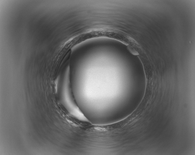 X0000081420822200701191553