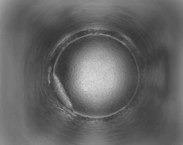 X0000081420823200701191553