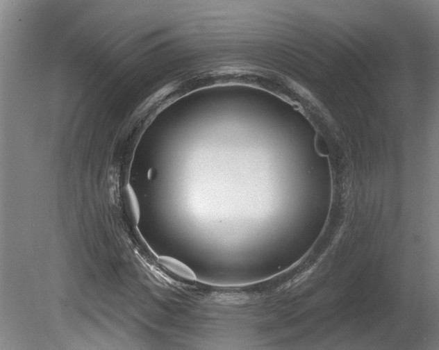X0000081420825200701191553