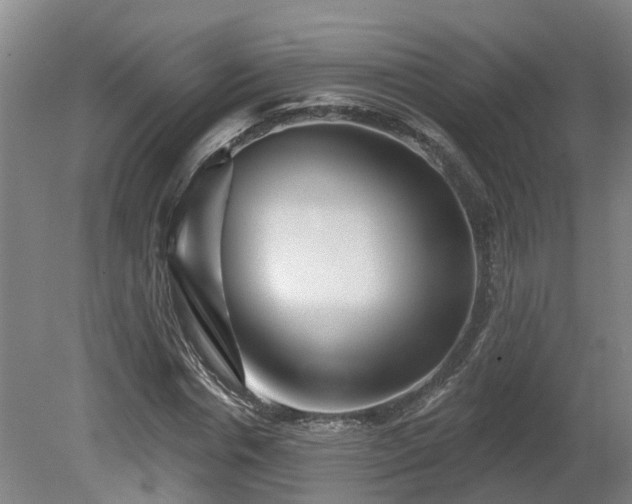 X0000081420826200701191553