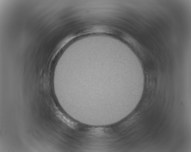 X0000081420828200701191553