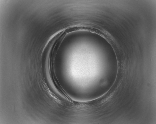X0000081420830200701191553