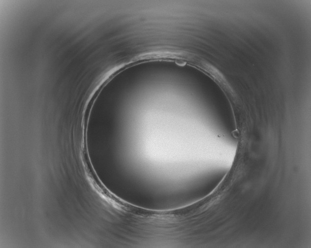 X0000081420844200701191554