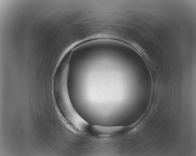 X0000081420854200701191554
