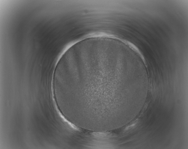 X0000081420863200701191554