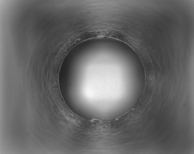 X0000081420865200701191553