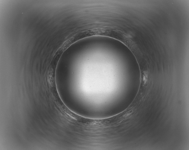 X0000081420867200701191553