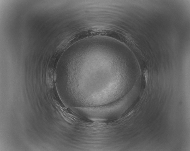 X0000081420868200701191553