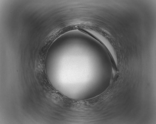 X0000081420869200701191553
