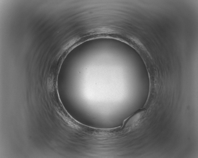 X0000081420873200701191553