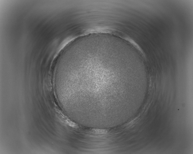 X0000081420878200701191553