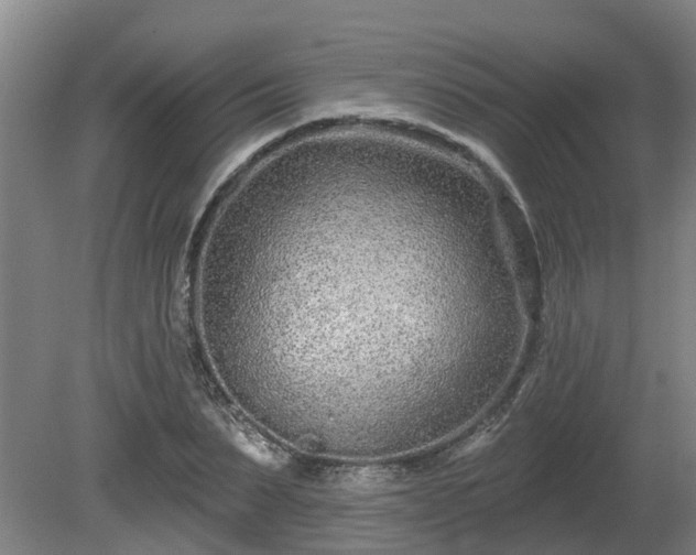 X0000081420879200701191553