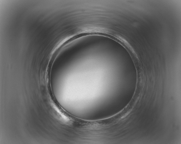 X0000081420885200701191553