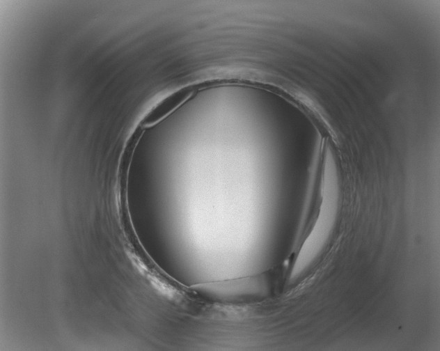 X0000081420888200701191553