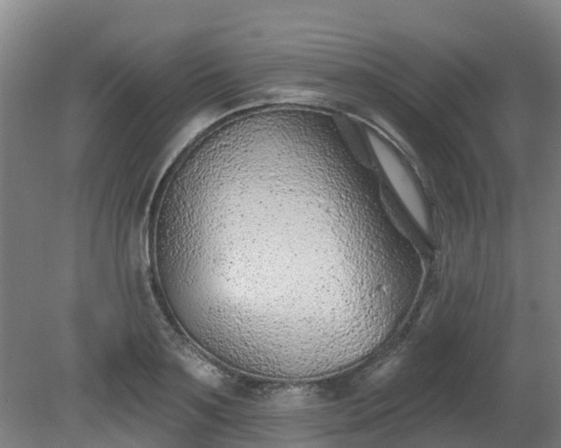 X0000081420891200701191553
