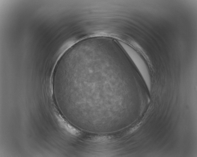 X0000081420892200701191553