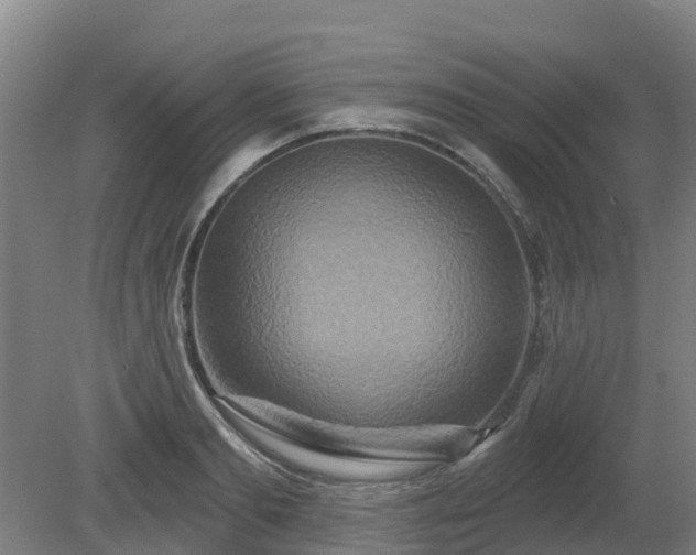 X0000081420893200701191553