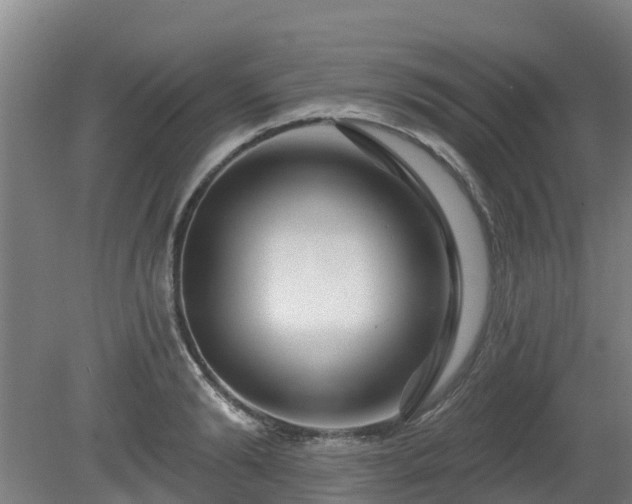 X0000081420894200701191553