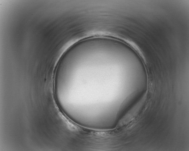 X0000081420903200701191553