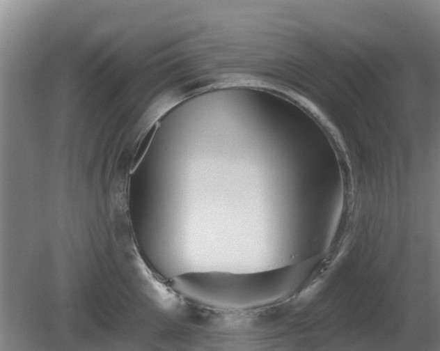 X0000081420905200701191553
