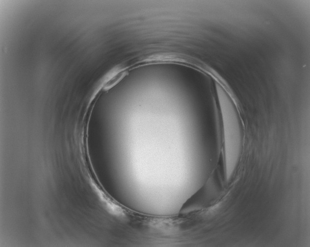 X0000081420909200701191552